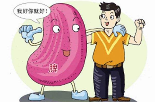 泰山靈芝尹濤：改善脾胃虛弱，為什么首選靈芝孢子粉？