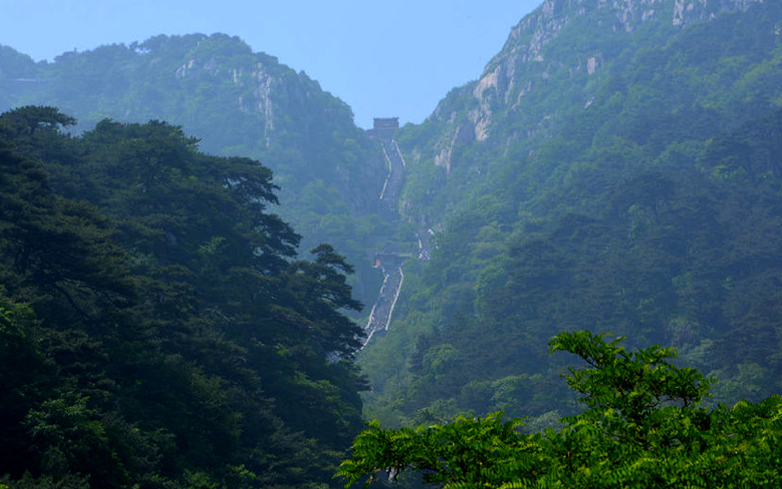 泰山靈芝的國藥地位，離不開一味成方的堅守與創(chuàng)新
