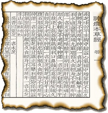 圖片1.png