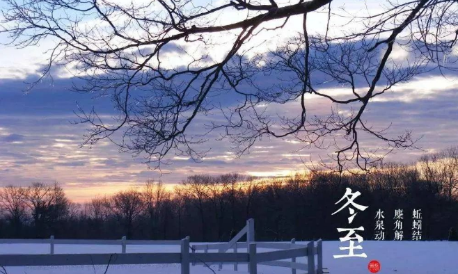 冬至進補，首選泰山靈芝孢子粉