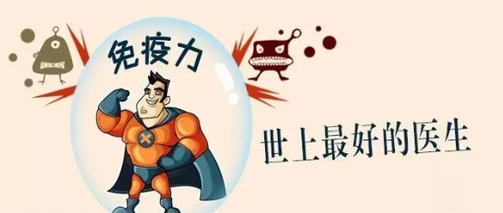 泰山靈芝尹濤：提高免疫力，靈芝孢子油是好靈材