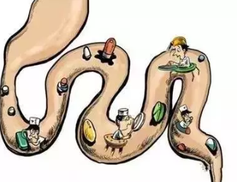 一味成方:靈芝如何減輕放化療的副作用?
