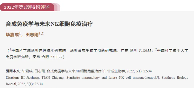 靈芝孢子油:激發(fā)人體抗癌衛(wèi)士NK細胞活性,守護健康防線!