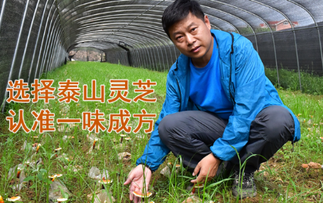 微信圖片_20220704160708.png