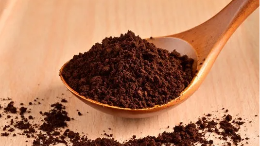 一味成方：靈芝孢子粉的原料內幕！千萬別吃錯