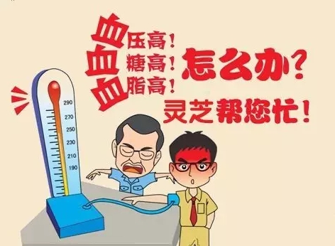 一味成方:靈芝孢子油,中老年人“三高”的克星!