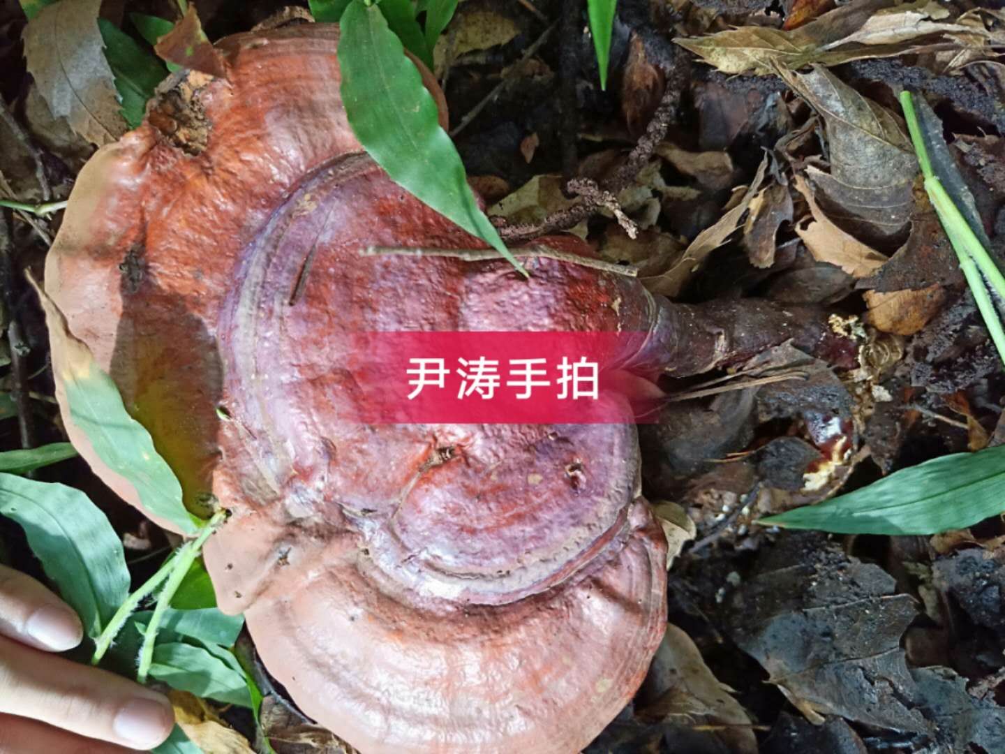 微信圖片_20190830091212.jpg