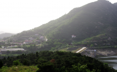 泰山的自然環(huán)境對(duì)靈芝品質(zhì)的影響有多大