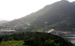 一味成方:堅(jiān)持匠心泰山靈芝,推動(dòng)全民健康養(yǎng)