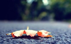 一味成方：立秋之際冷熱交替，宜靈芝養(yǎng)生