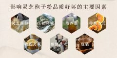 一味成方:影響靈芝孢子粉品質好壞的因素分析