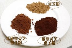 一味成方:如何鑒別靈芝孢子粉的真假好壞?