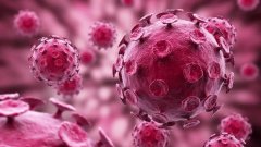 靈芝孢子粉扶助人體正氣,抵抗新型冠狀病毒