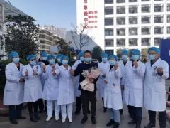 專家：靈芝等可防治新型冠狀病毒感染
