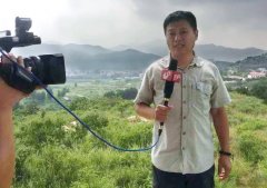 兩年前報(bào)道過的一味成方泰山靈芝基地