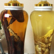 靈芝的吃法——靈芝人參酒