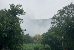 這兩天的泰山采芝節,恍如行走在畫里